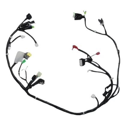 image_361a59aa-b894-42ec-9d7f-44d65c084f42