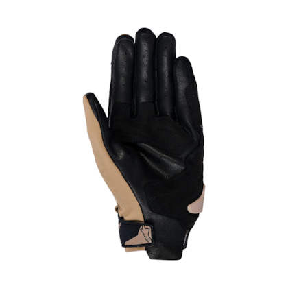 image_50871c88-12e0-41f9-99ae-337b19024c0f