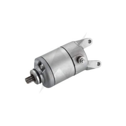 image_04e257de-e47e-499f-993a-98e45f904b24