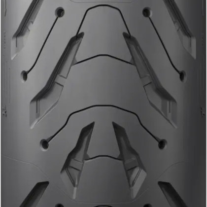 image_800e8f87-22db-498f-9db0-445c837f22d0