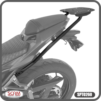 image_79daa2ef-b4e7-4253-b4d1-686fadd87320